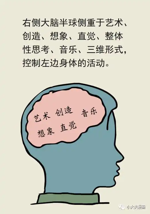 想更聪明大脑的这些秘密你必须知道