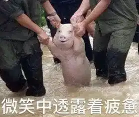 2017年度表情包大赏小猪佩奇,笑着活下去,边缘试探.你最爱哪一个
