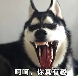 哈士奇搞笑图片头像
