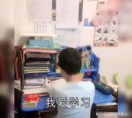 超搞笑小男孩带着自家妹妹唱歌抱怨作业多走红,网友机灵鬼
