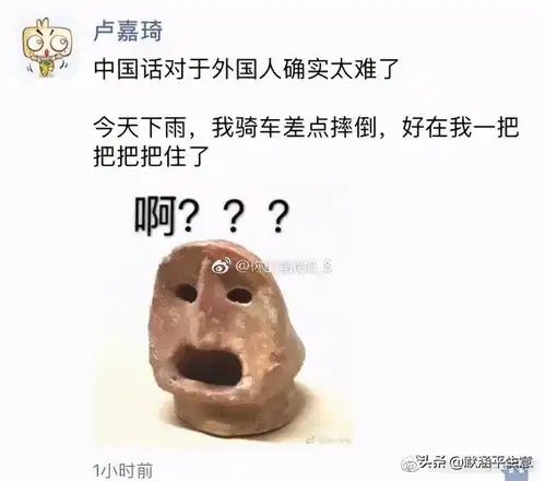 有哪些不论你多难过,看后也会笑出声的搞笑图片
