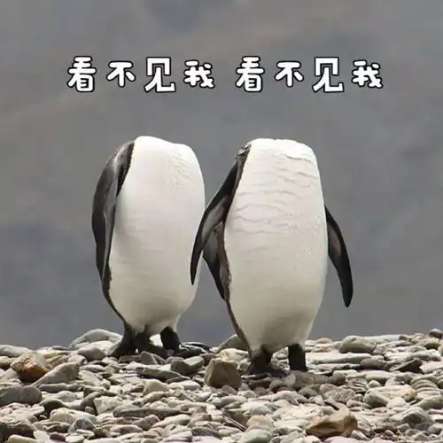 据说,这是你在大学的一天
