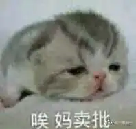 抱头苦笑表情包