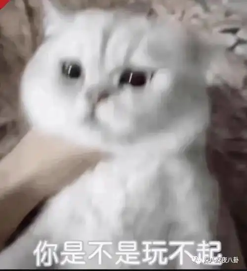 有关不搭理它的表情包玩