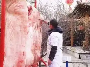 包头好吃,好玩儿,离家近的乡村杀猪菜在这里这周末组团去吃金福地第四届杀猪烩菜品鉴大会
