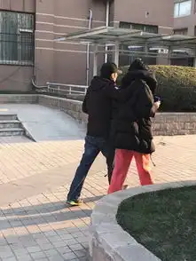 谢霆锋王菲牵手遛弯像一对老夫老妻

