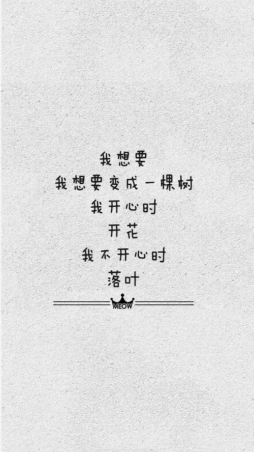 有些什么好看的配套的壁纸
