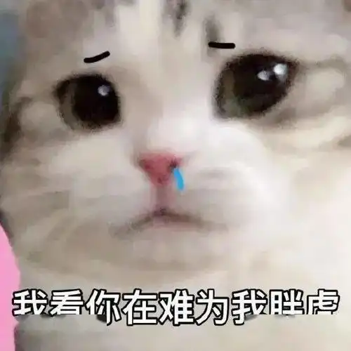 表情包动图值得收藏的表情包