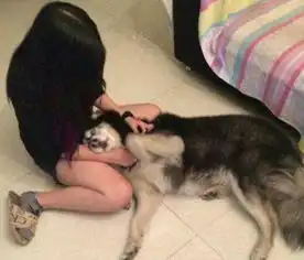 搞笑图片姑娘你们这样会造成交通堵塞的
