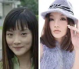 范冰冰允儿angelababy离奇变美被疑整容的明星
