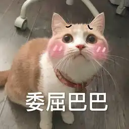 爆笑文案还有三周过年,我过年回家的用途给亲戚们过嘴瘾
