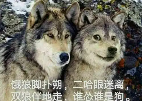 崩坏3主线剧情20章完结,论卖关子,米哈游是认真的

