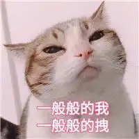 萌萌哒的喵星人微信带字表情包妹子专用喵星人表情包

