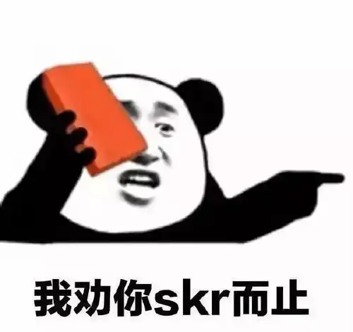一夜刷屏的skr到底是啥意思
