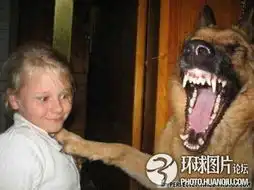 让人抓狂的搞笑动物
