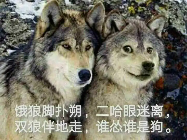 经验加理性的绝对的独断主义者
