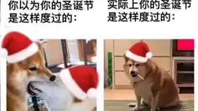 今日份的沙雕图集16
