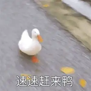 好的鸭表情包应届生