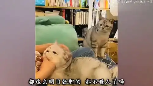 爆笑这就是防君子不防小人吗这是进入大同世界了吧