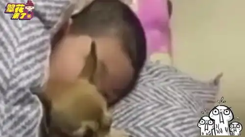 爆笑女生宿舍的专属游戏,看一次笑一次
