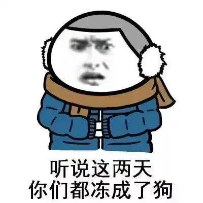 冻傻了搞笑图片