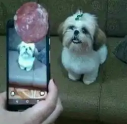 世界上最危险的游戏早上关掉闹钟再稍微眯一会
