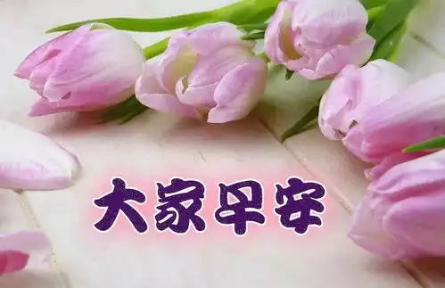 早安心语清晨起来笑一笑,祝您开心没烦恼
