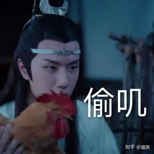 陈情令全集已经出来了,终于看完了大结局,你是如何看待大结局的
