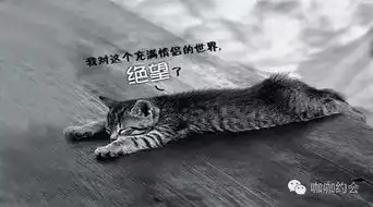光棍节,约吗
