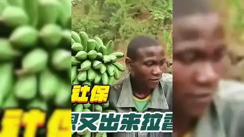 彪哥为了拉香蕉,裤子都破了,就是为了给老婆买三室一厅
