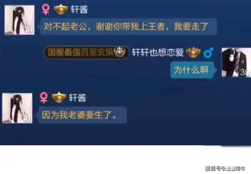 搞笑图文游戏里的网恋被骗现场,分手理由好真实呀哈哈哈
