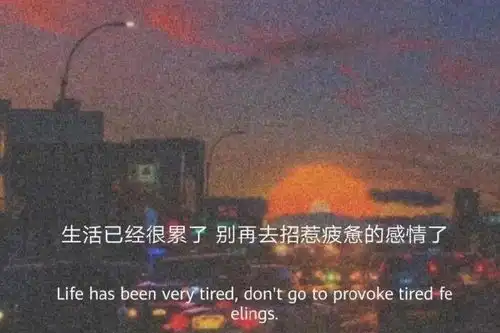 有没有超级励志的句子可以鼓励我学习
