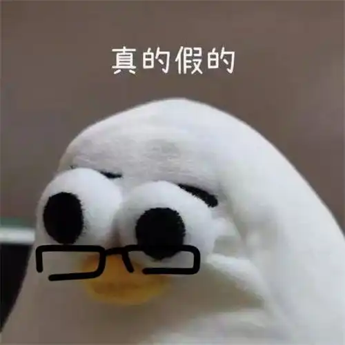 马兆海鸥是什么梗,解释马兆海鸥梗的含义

