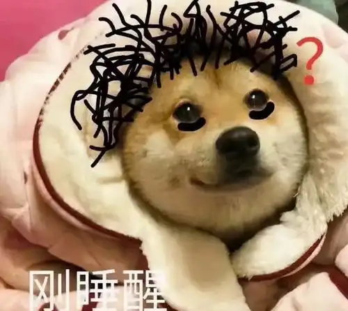 为了减轻功勋犬的痛苦,务必要一次性把它炸死
