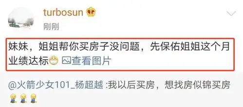 杨超越想找房似锦买房,孙俪晒杨超越锦鲤表情包,求保本月业绩
