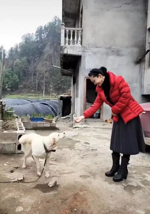 57岁于文华现状与丈夫住农村简陋房子,拖地喂着狗,生活幸福

