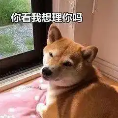 开会时手机投屏,收到我想舔你......