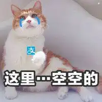 超怂猫猫头像搞笑对怂猫咪微信头像微信头像图片大全

