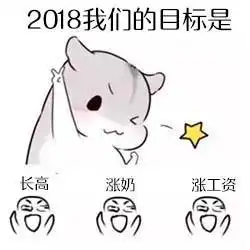 2018年来了,先定一个小目标吧仓鼠斗图表情包搞笑图片
