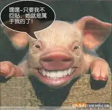 搞笑征婚
