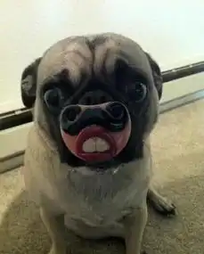 搞笑图片后面的大哥,你是不是在想什么