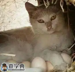 你想干神马搞笑图片
