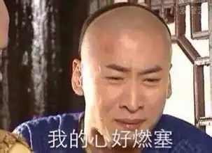 尔康表情包尔康表情尔康心机boy尔康紫薇骑马尔康紫薇骑马爆笑配音hao76手游网