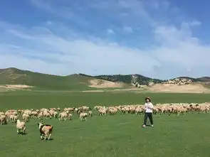 我和草原有个约会
