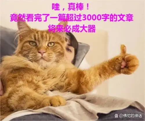 一个不得不说的质量问题杨米尔斯理论完结篇
