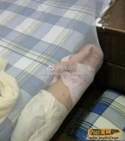 今年的笑点被这些照片承包了
