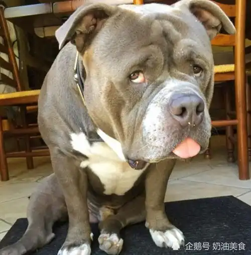 搞笑段子突然接到老爸的电话,说被绑架了,一问老妈,我的天原来是奶油
