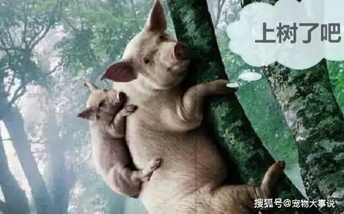 李世民问唐朝何时灭亡袁天罡猪能上树之时
