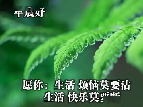 最火最好的早上好图片祝福最好看的早安问候图片
