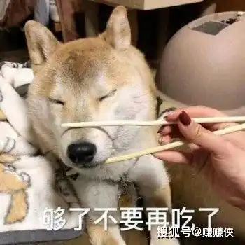 搞笑沙雕表情包图片狗子,你不要再说了
